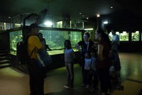 Visite_aquarium_2